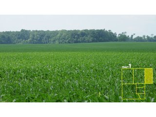 Property photo 5 - 1,739+/- Acres Offered in 24 Tracts, Major Land Auction