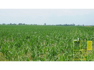 Property photo 6 - 1,739+/- Acres Offered in 24 Tracts, Major Land Auction