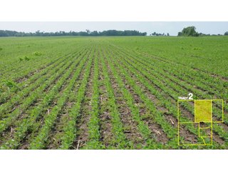 Property photo 10 - 1,739+/- Acres Offered in 24 Tracts, Major Land Auction