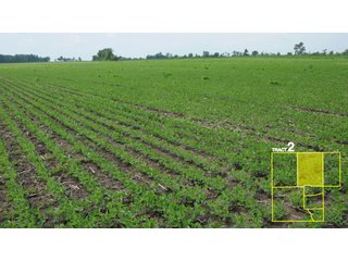 Property photo 11 - 1,739+/- Acres Offered in 24 Tracts, Major Land Auction