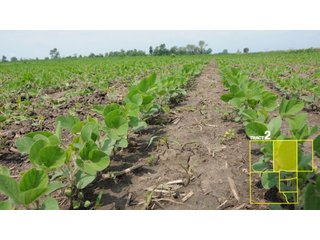 Property photo 12 - 1,739+/- Acres Offered in 24 Tracts, Major Land Auction