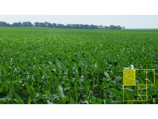 Property photo 15 - 1,739+/- Acres Offered in 24 Tracts, Major Land Auction