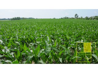 Property photo 16 - 1,739+/- Acres Offered in 24 Tracts, Major Land Auction