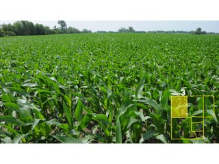 Property photo 17 - 1,739+/- Acres Offered in 24 Tracts, Major Land Auction
