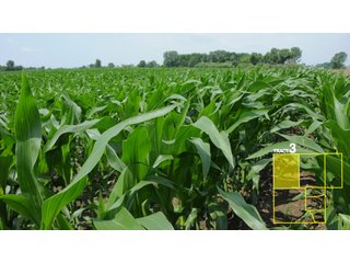 Property photo 18 - 1,739+/- Acres Offered in 24 Tracts, Major Land Auction