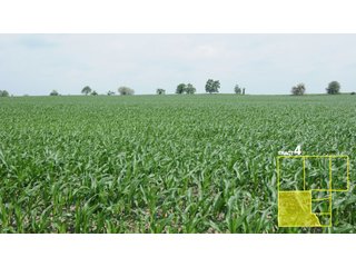 Property photo 22 - 1,739+/- Acres Offered in 24 Tracts, Major Land Auction
