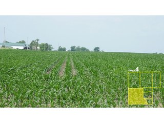 Property photo 23 - 1,739+/- Acres Offered in 24 Tracts, Major Land Auction
