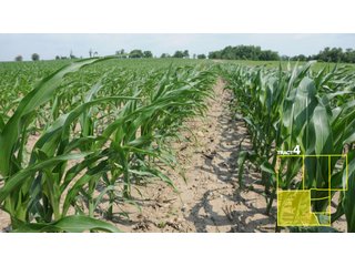 Property photo 24 - 1,739+/- Acres Offered in 24 Tracts, Major Land Auction