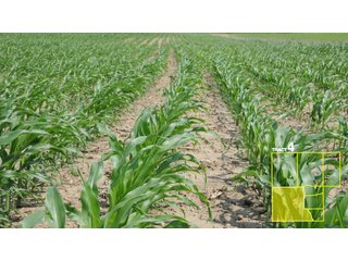 Property photo 25 - 1,739+/- Acres Offered in 24 Tracts, Major Land Auction