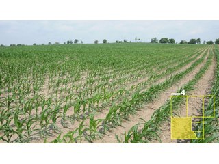 Property photo 26 - 1,739+/- Acres Offered in 24 Tracts, Major Land Auction