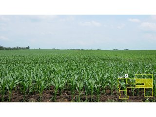 Property photo 43 - 1,739+/- Acres Offered in 24 Tracts, Major Land Auction