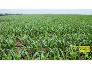 Property photo 44 - 1,739+/- Acres Offered in 24 Tracts, Major Land Auction