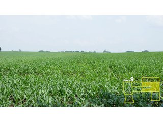 Property photo 45 - 1,739+/- Acres Offered in 24 Tracts, Major Land Auction