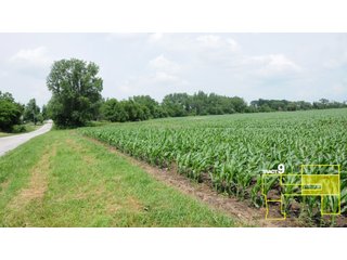 Property photo 46 - 1,739+/- Acres Offered in 24 Tracts, Major Land Auction