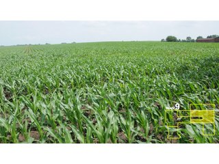 Property photo 47 - 1,739+/- Acres Offered in 24 Tracts, Major Land Auction