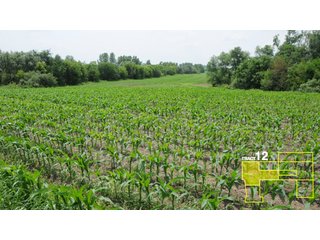 Property photo 58 - 1,739+/- Acres Offered in 24 Tracts, Major Land Auction