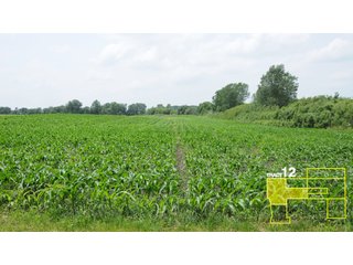 Property photo 59 - 1,739+/- Acres Offered in 24 Tracts, Major Land Auction