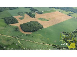 Property photo 65 - 1,739+/- Acres Offered in 24 Tracts, Major Land Auction