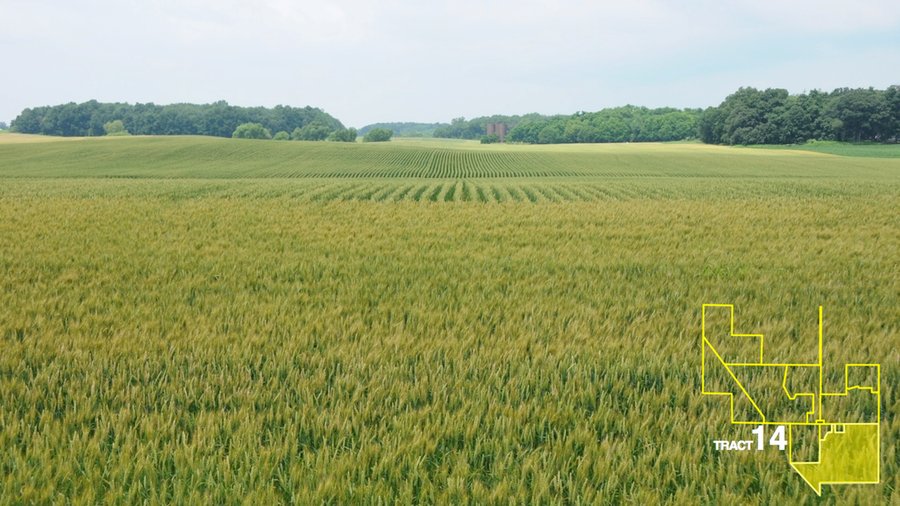 1,739+/- Acres Offered in 24 Tracts, Major Land Auction