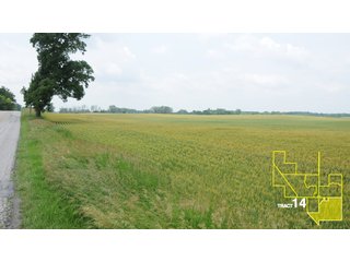 Property photo 67 - 1,739+/- Acres Offered in 24 Tracts, Major Land Auction