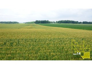 Property photo 68 - 1,739+/- Acres Offered in 24 Tracts, Major Land Auction