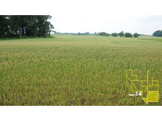 Property photo 69 - 1,739+/- Acres Offered in 24 Tracts, Major Land Auction