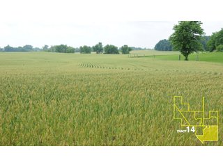 Property photo 70 - 1,739+/- Acres Offered in 24 Tracts, Major Land Auction