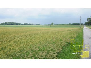 Property photo 71 - 1,739+/- Acres Offered in 24 Tracts, Major Land Auction