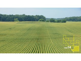 Property photo 72 - 1,739+/- Acres Offered in 24 Tracts, Major Land Auction
