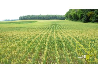 Property photo 75 - 1,739+/- Acres Offered in 24 Tracts, Major Land Auction
