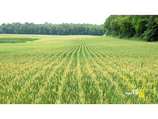 Property photo 76 - 1,739+/- Acres Offered in 24 Tracts, Major Land Auction