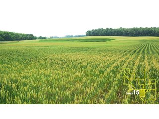 Property photo 77 - 1,739+/- Acres Offered in 24 Tracts, Major Land Auction