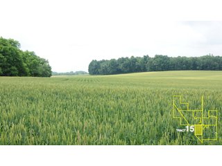 Property photo 78 - 1,739+/- Acres Offered in 24 Tracts, Major Land Auction