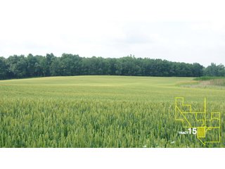 Property photo 79 - 1,739+/- Acres Offered in 24 Tracts, Major Land Auction