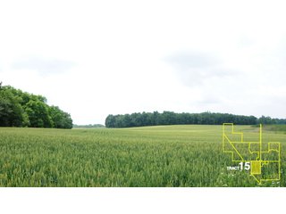 Property photo 80 - 1,739+/- Acres Offered in 24 Tracts, Major Land Auction