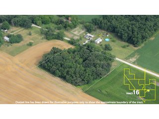Property photo 82 - 1,739+/- Acres Offered in 24 Tracts, Major Land Auction