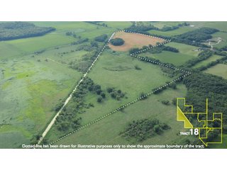 Property photo 91 - 1,739+/- Acres Offered in 24 Tracts, Major Land Auction
