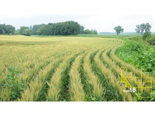 Property photo 93 - 1,739+/- Acres Offered in 24 Tracts, Major Land Auction