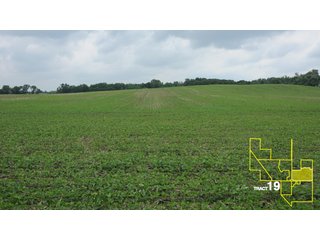 Property photo 97 - 1,739+/- Acres Offered in 24 Tracts, Major Land Auction