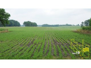 Property photo 99 - 1,739+/- Acres Offered in 24 Tracts, Major Land Auction