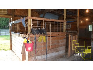 Property photo 103 - 1,739+/- Acres Offered in 24 Tracts, Major Land Auction