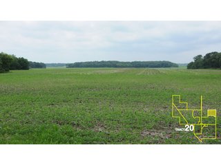 Property photo 107 - 1,739+/- Acres Offered in 24 Tracts, Major Land Auction