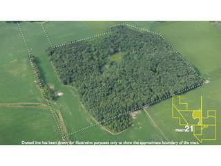 Property photo 109 - 1,739+/- Acres Offered in 24 Tracts, Major Land Auction