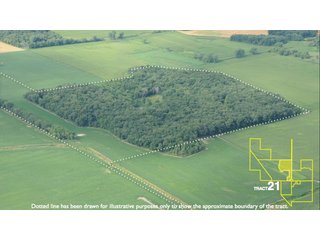 Property photo 110 - 1,739+/- Acres Offered in 24 Tracts, Major Land Auction