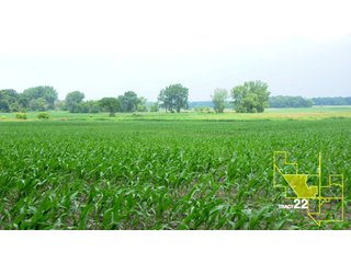 Property photo 113 - 1,739+/- Acres Offered in 24 Tracts, Major Land Auction