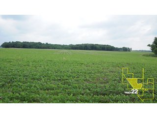 Property photo 115 - 1,739+/- Acres Offered in 24 Tracts, Major Land Auction