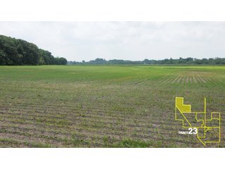 Property photo 118 - 1,739+/- Acres Offered in 24 Tracts, Major Land Auction