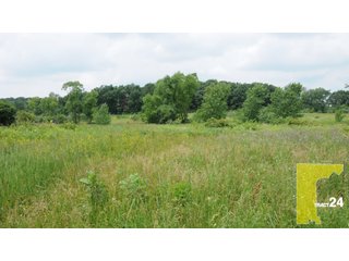 Property photo 130 - 1,739+/- Acres Offered in 24 Tracts, Major Land Auction