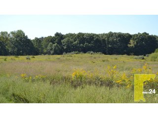 Property photo 131 - 1,739+/- Acres Offered in 24 Tracts, Major Land Auction