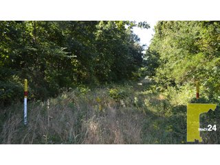 Property photo 133 - 1,739+/- Acres Offered in 24 Tracts, Major Land Auction